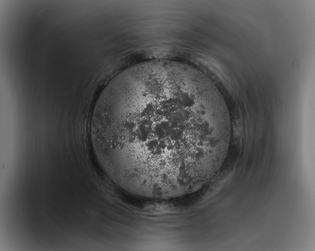 X0000094360503200711162053