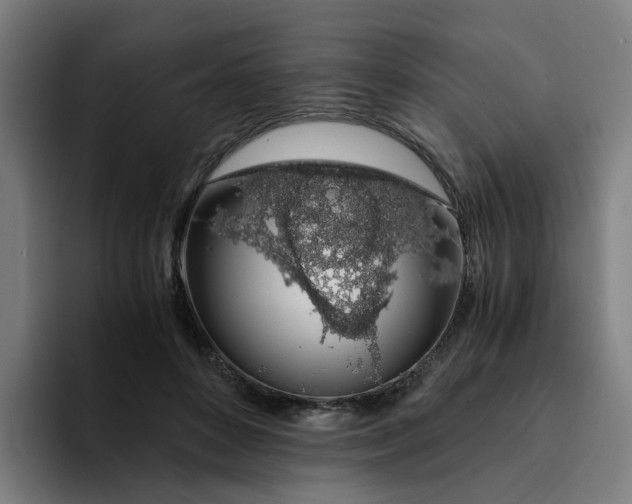 X0000094360504200711162053