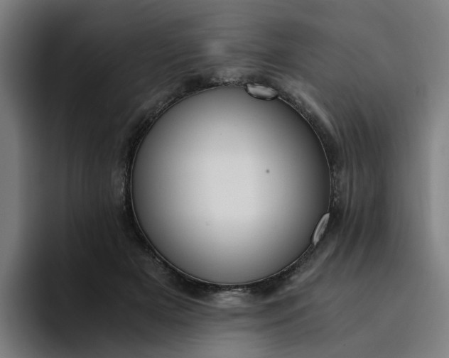 X0000094360505200711162053