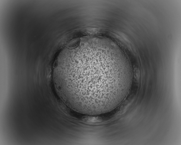 X0000094360507200711162053