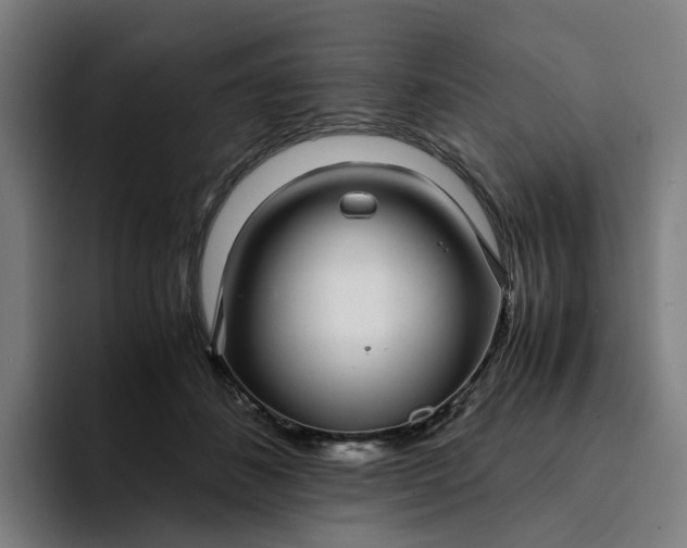 X0000094360508200711162053