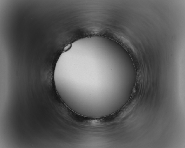 X0000094360509200711162053