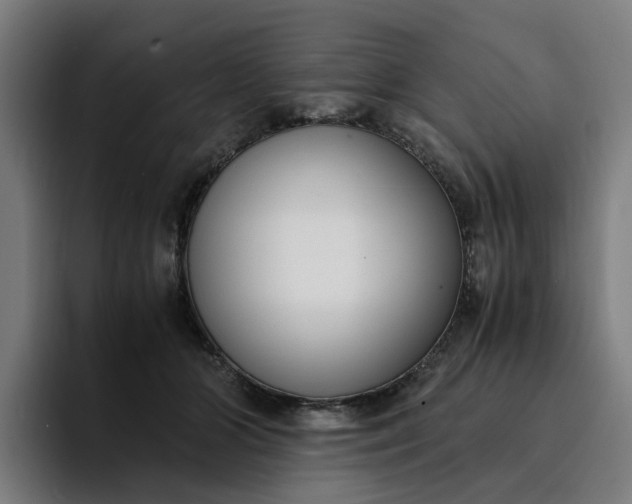 X0000094360510200711162053