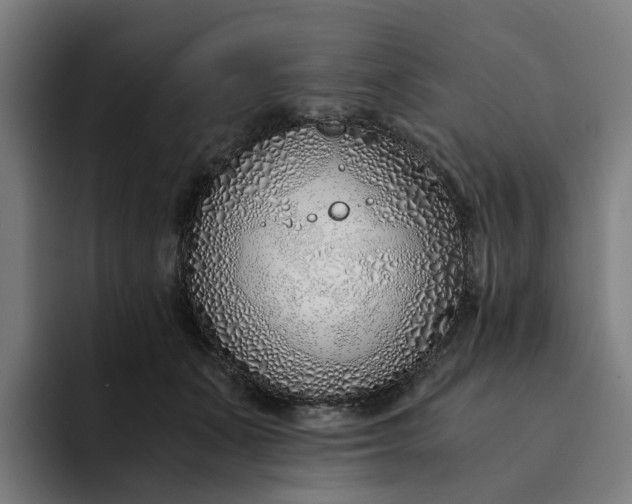 X0000094360511200711162053