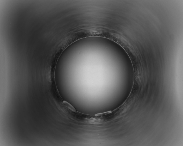 X0000094360512200711162053