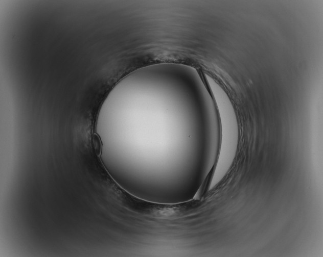 X0000094360513200711162053