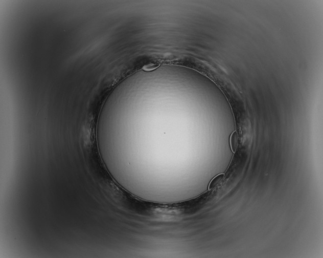 X0000094360515200711162053