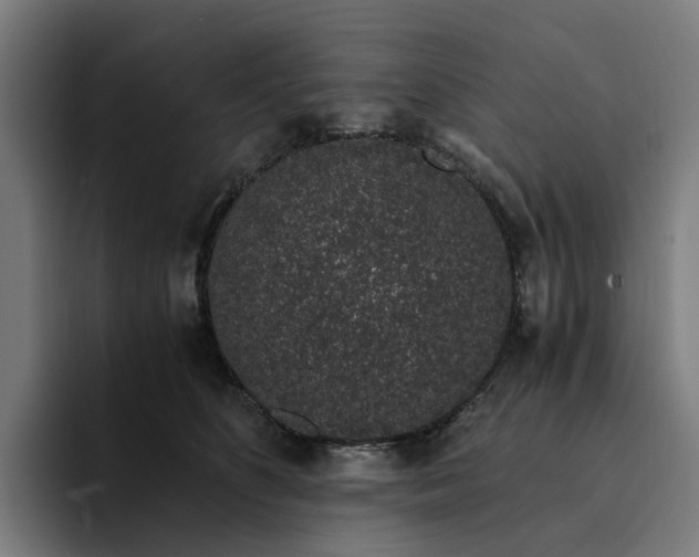 X0000094360516200711162053