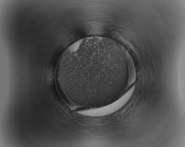 X0000094360517200711162053