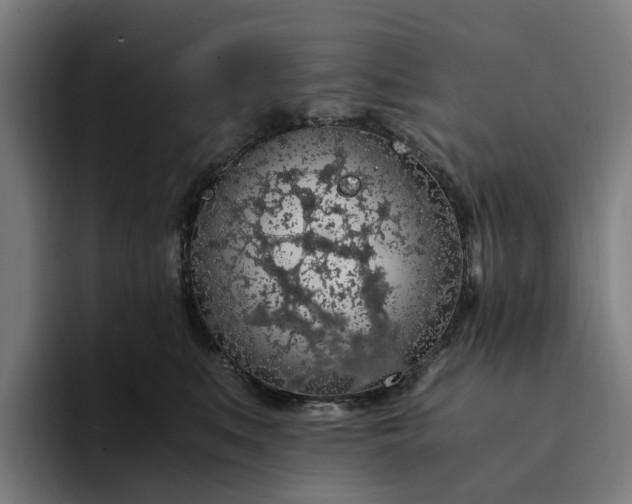 X0000094360519200711162053