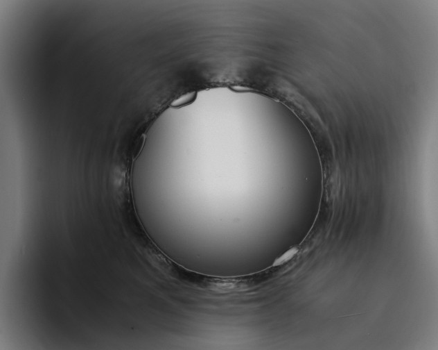 X0000094360521200711162053