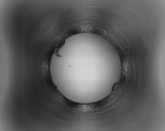 X0000094360522200711162053