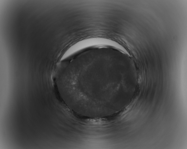 X0000094360524200711162053