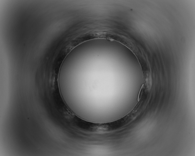 X0000094360525200711162053