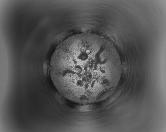 X0000094360527200711162053