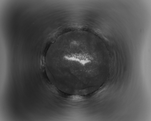 X0000094360528200711162053