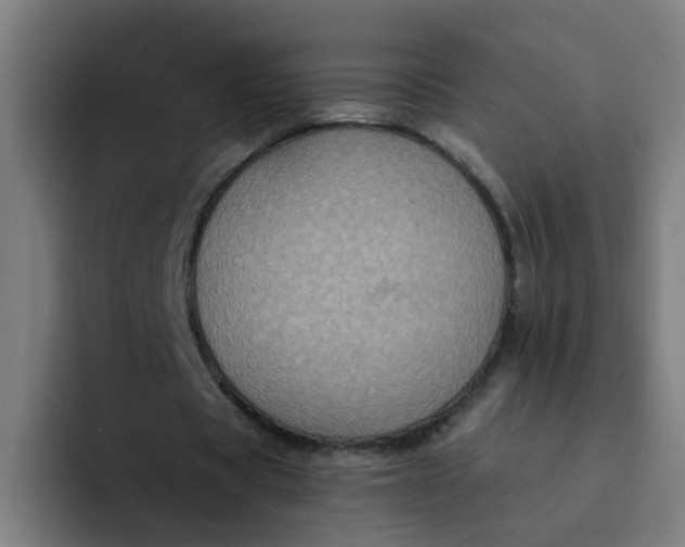 X0000094360529200711162052