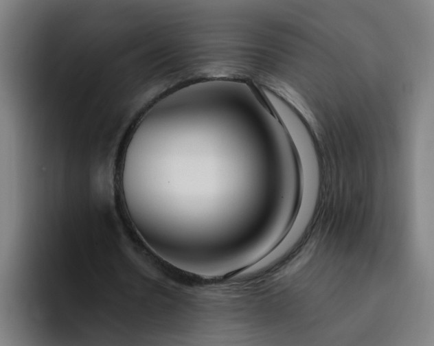 X0000094360530200711162052