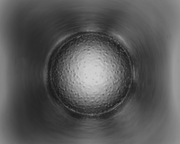 X0000094360531200711162052