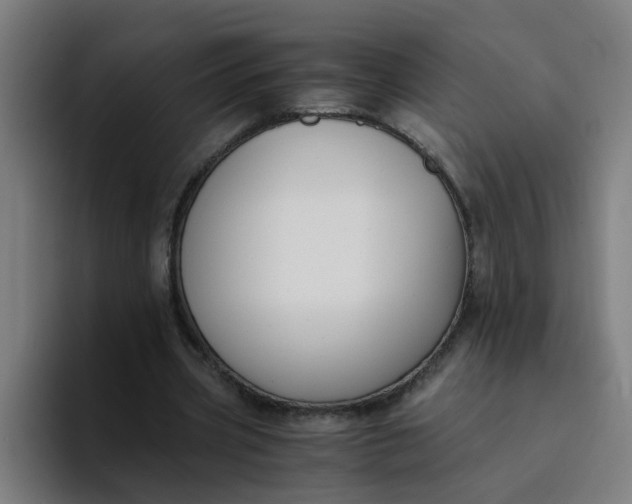 X0000094360533200711162052