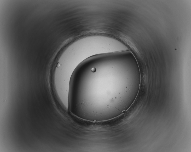 X0000094360534200711162052