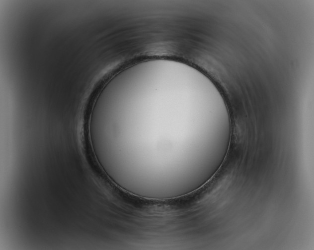 X0000094360535200711162052