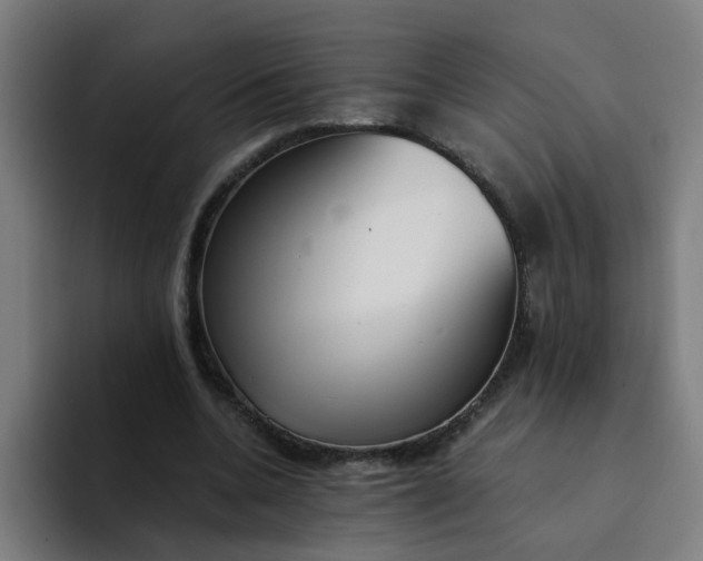 X0000094360536200711162052