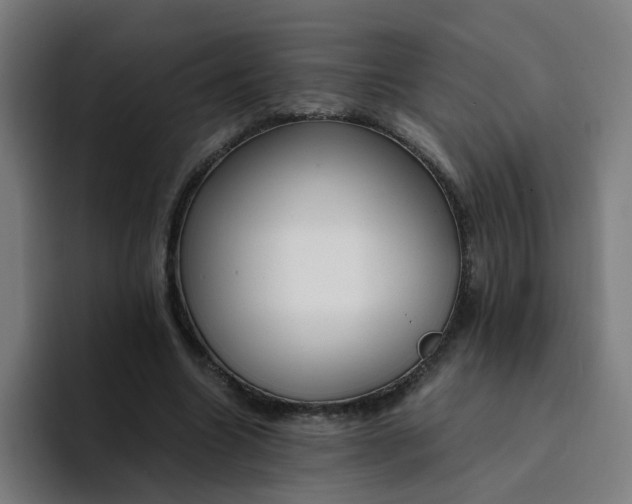 X0000094360538200711162052