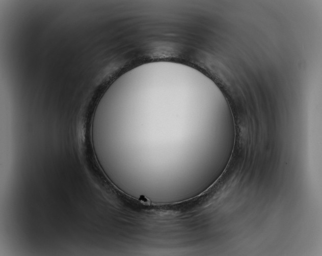 X0000094360539200711162052