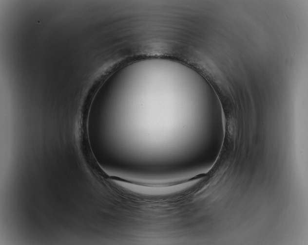 X0000094360540200711162052