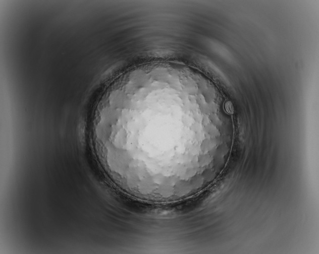 X0000094360542200711162052