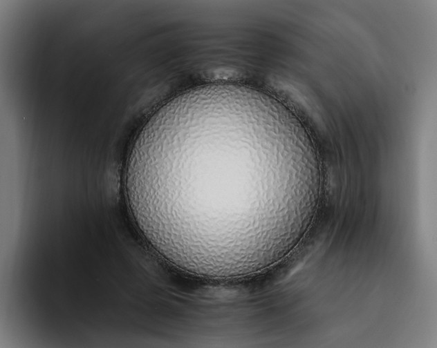 X0000094360545200711162052