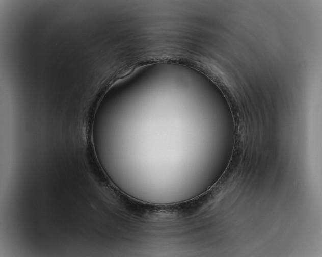 X0000094360546200711162052