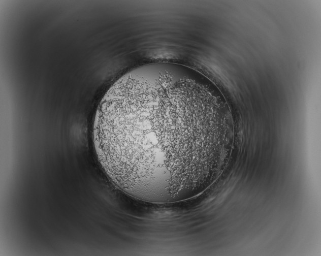 X0000094360547200711162052