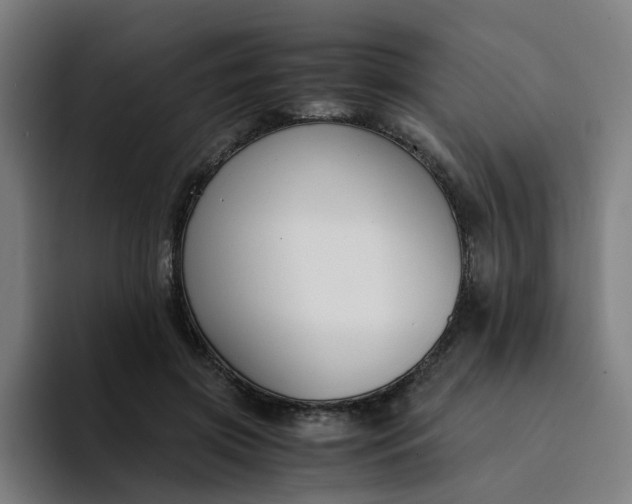 X0000094360549200711162052