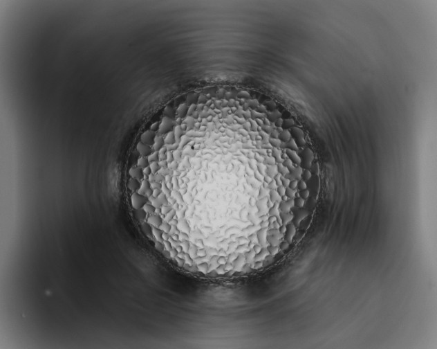 X0000094360550200711162052