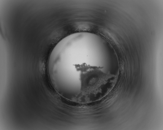 X0000094360551200711162052