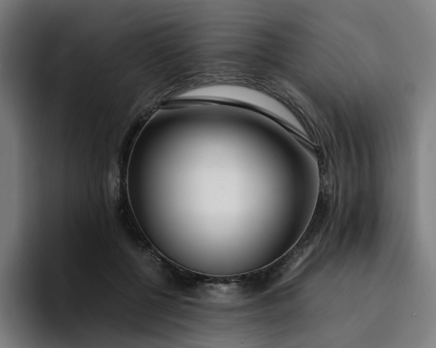 X0000094360552200711162052