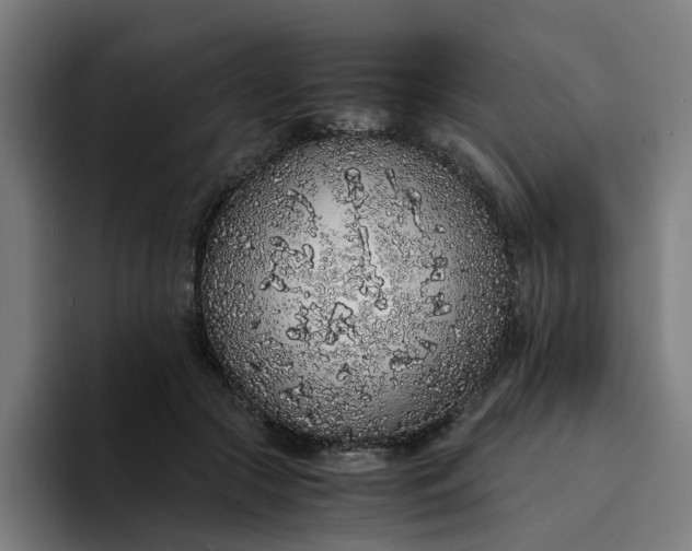 X0000094360553200711162052