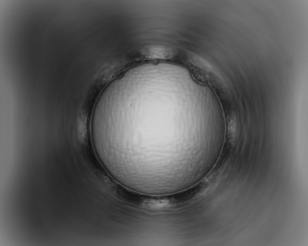 X0000094360554200711162052