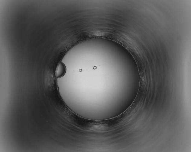 X0000094360555200711162052