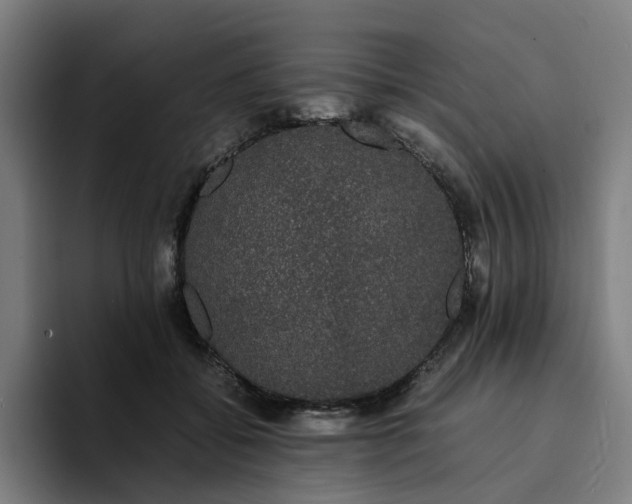 X0000094360556200711162052