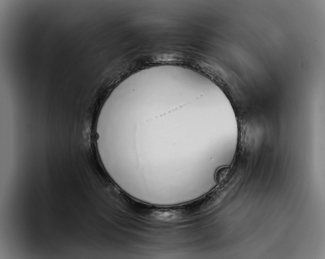 X0000094360557200711162052