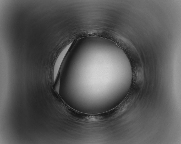 X0000094360558200711162052