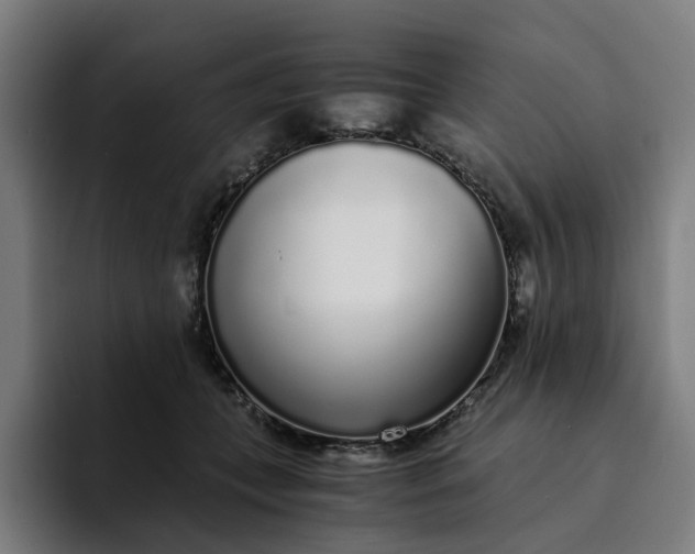 X0000094360559200711162052