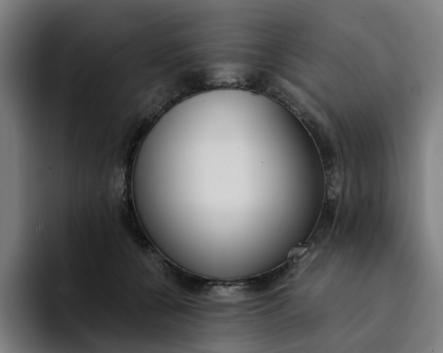 X0000094360560200711162052