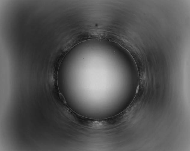 X0000094360566200711162053