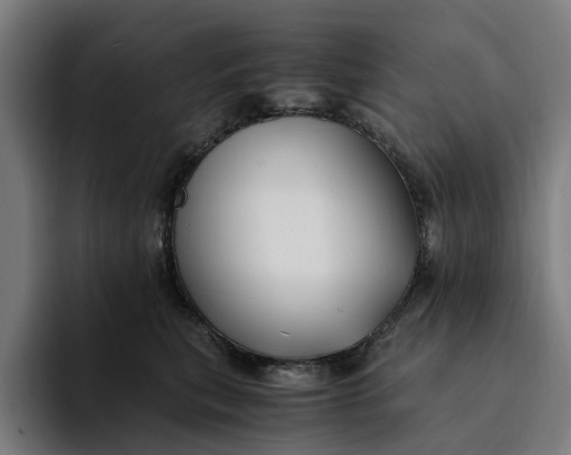 X0000094360567200711162053