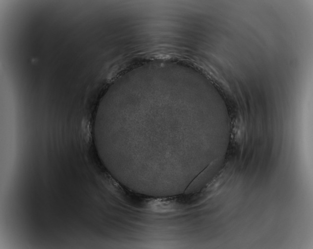 X0000094360568200711162053