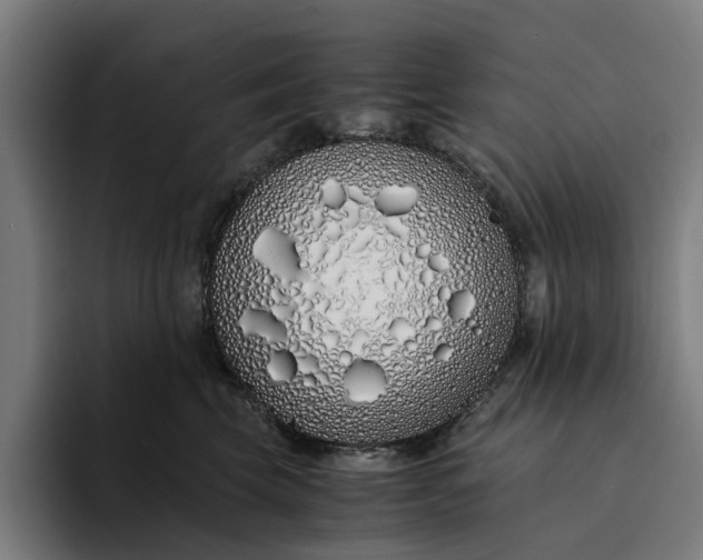 X0000094360569200711162053